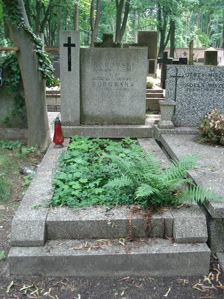 Zdjęcie grobu: Ludwik Borowski