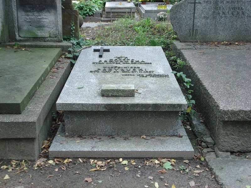 Zdjęcie grobu: Helena Przyłuska