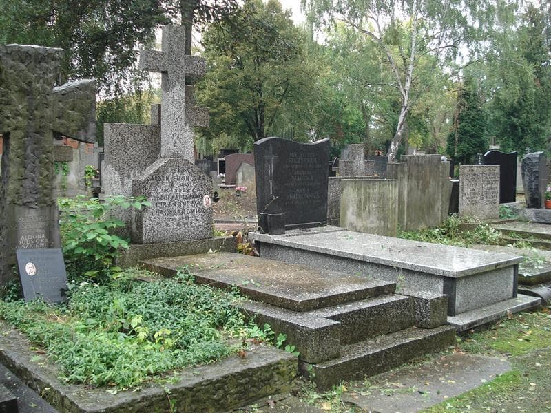 Zdjęcie grobu Albin Fronczak (1)