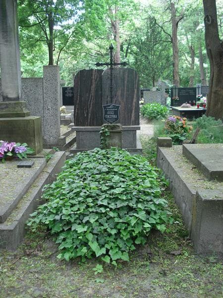 Zdjęcie grobu: Antoni Zasoński