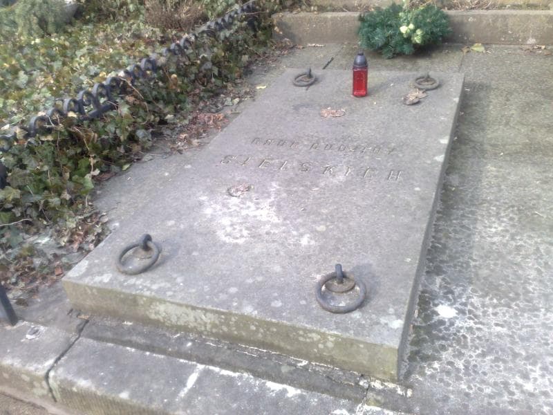 Zdjęcie grobu Seweryna Stojanowska (2)