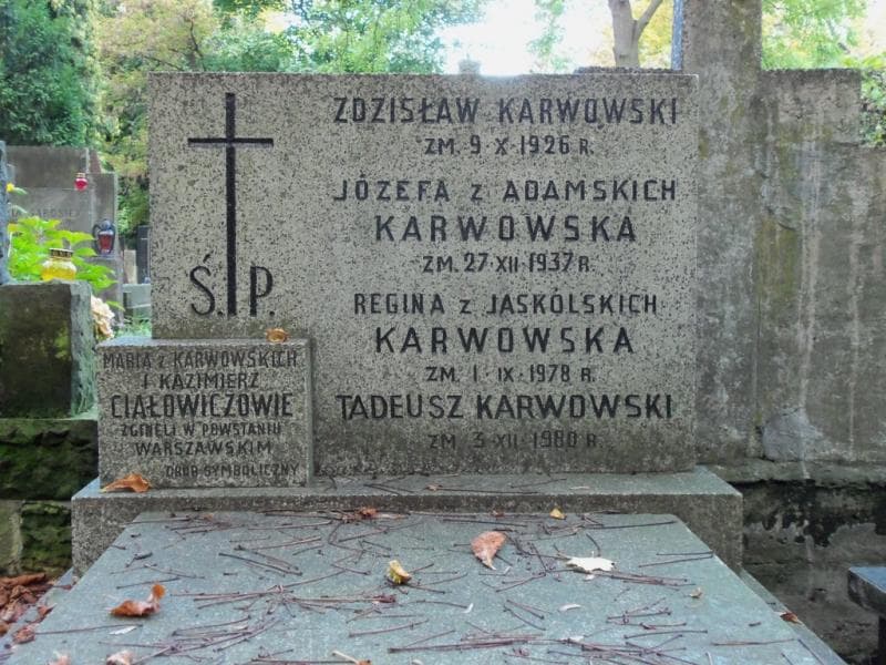 Zdjęcie grobu Maria Ciałowicz (2)