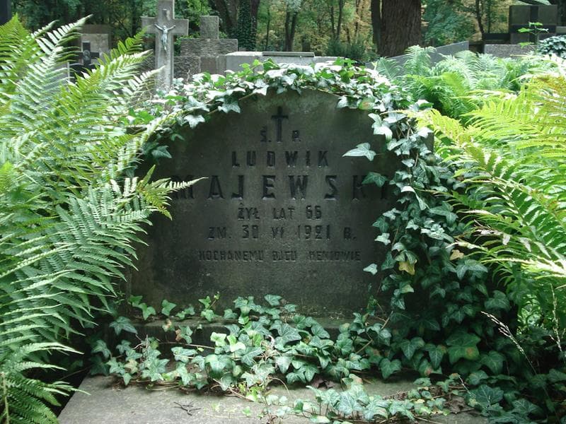 Zdjęcie grobu Stanisława Majewska (1)