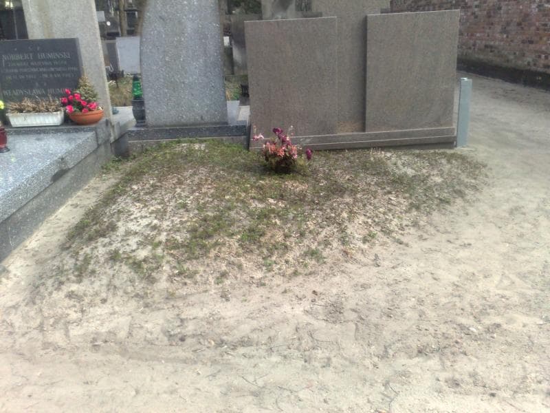 Zdjęcie grobu: Maria Bogusławska