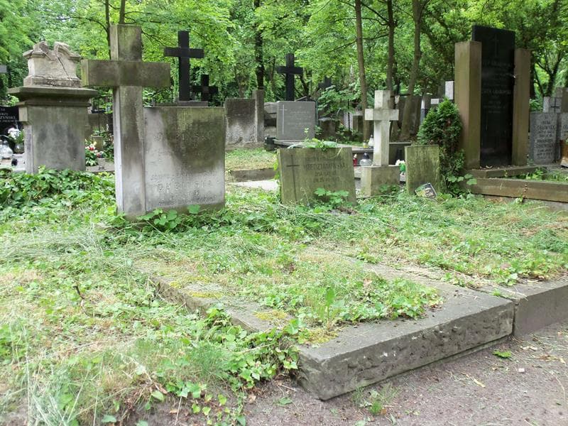 Zdjęcie grobu Janina Dubińska (1)