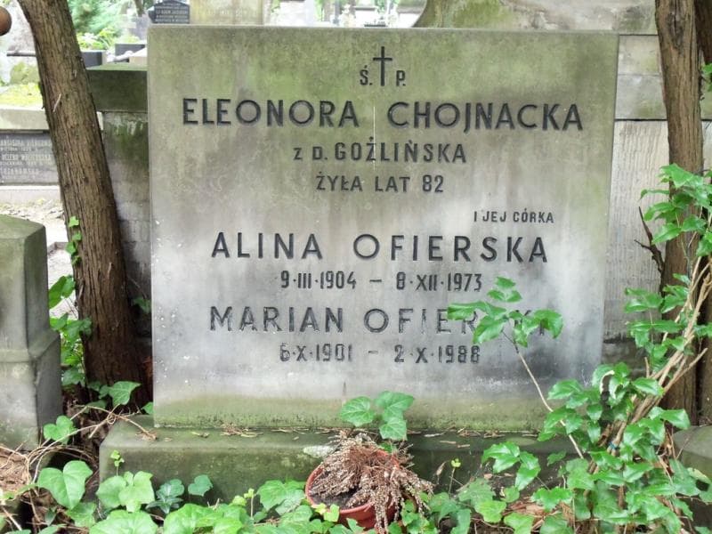 Zdjęcie grobu Alina Ofierska (2)