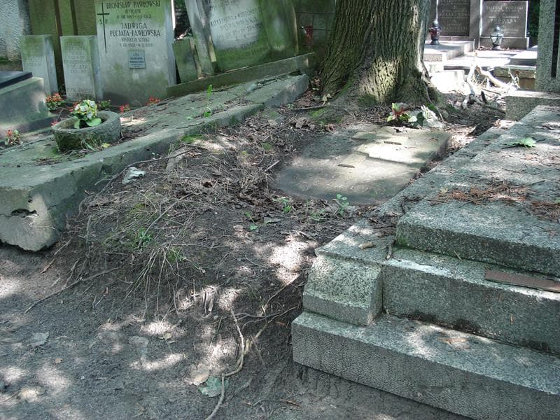 Zdjęcie grobu Helena Brzezińska (1)