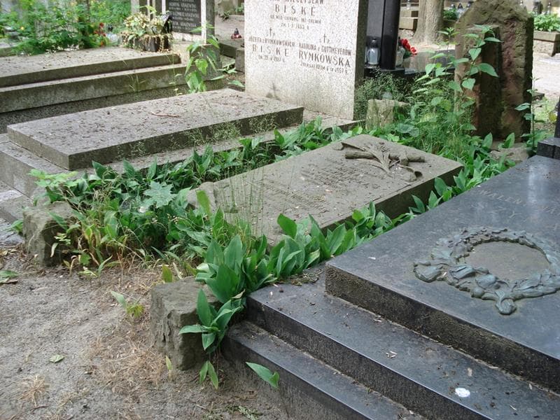Zdjęcie grobu: Salomea Czaplińska