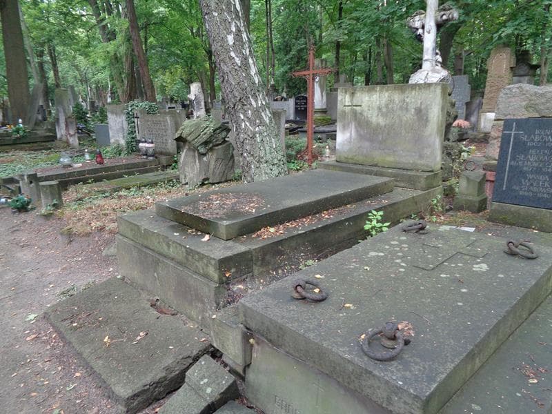 Zdjęcie grobu: Oleńka Daniewska