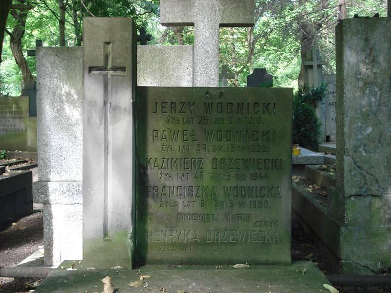 Zdjęcie grobu Kazimierz Drzewiecki (2)