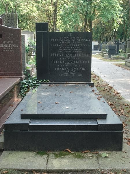 Zdjęcie grobu: Feliks Gośliński