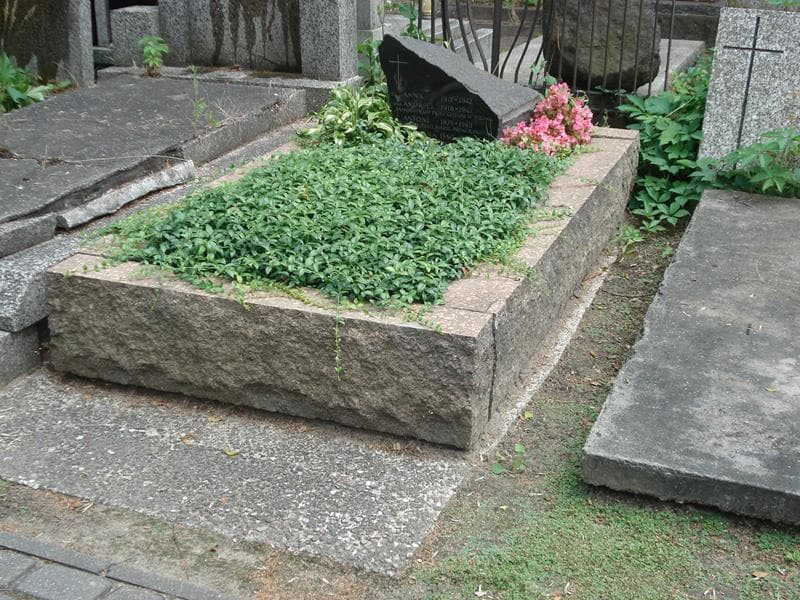 Zdjęcie grobu Andrzej Ponikowski (1)
