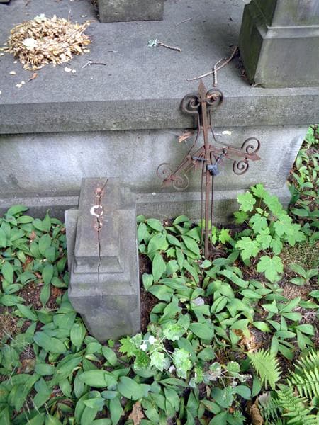 Zdjęcie grobu Eugenia Downar-Zapolska (2)