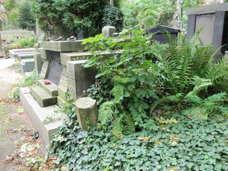 Zdjęcie grobu Henryk Huss (1)