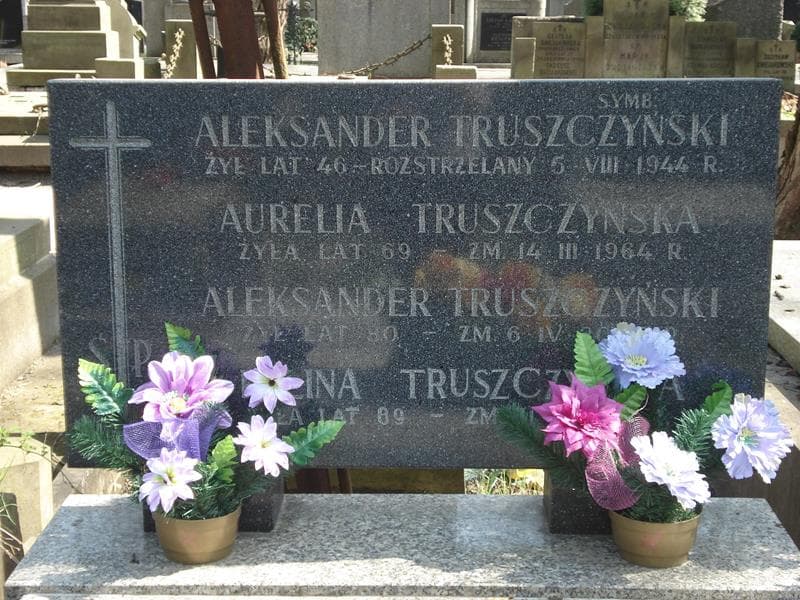 Zdjęcie grobu Aleksander Truszczyński (1)
