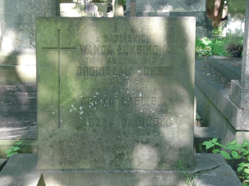 Zdjęcie grobu Józef Babiński (2)
