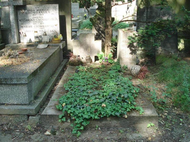 Zdjęcie grobu: Mieczysław Wrzesiński