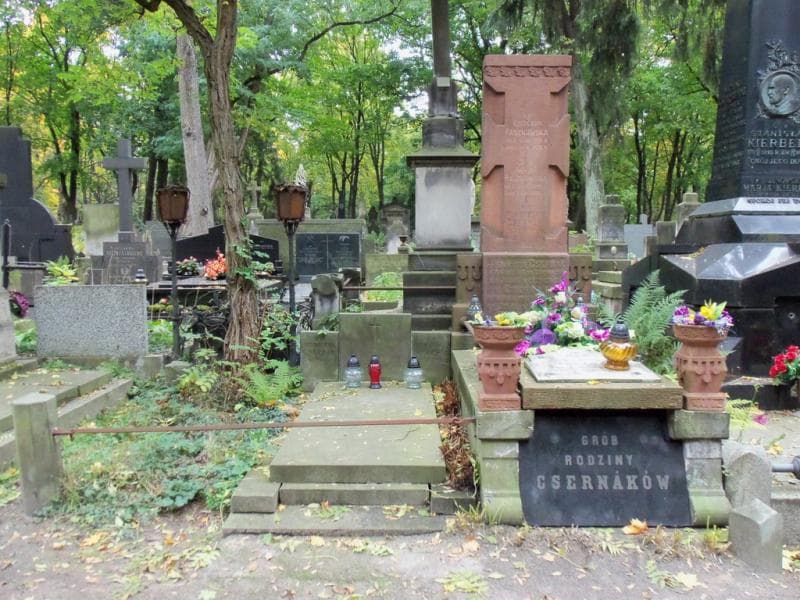 Zdjęcie grobu: Julja Csernak