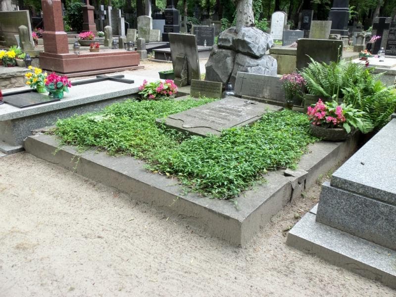 Zdjęcie grobu Franciszka Lechowska (1)
