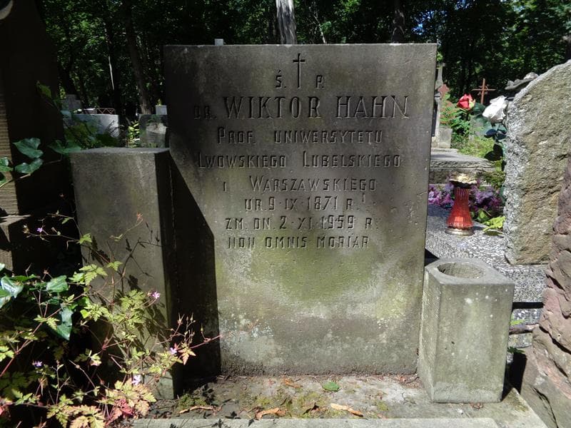 Zdjęcie grobu Wiktor Hahn (1)