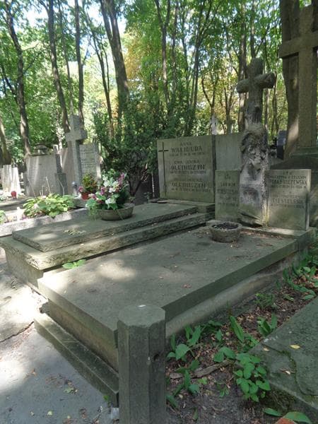Zdjęcie grobu: Ludwik Ciesielski