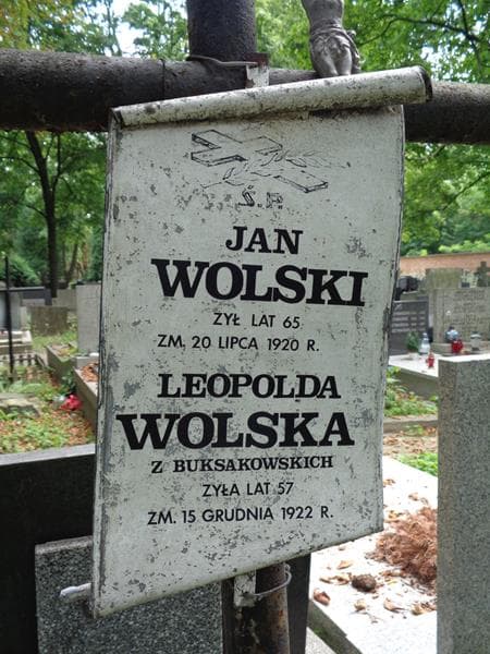 Zdjęcie grobu Leopolda Wolska (2)