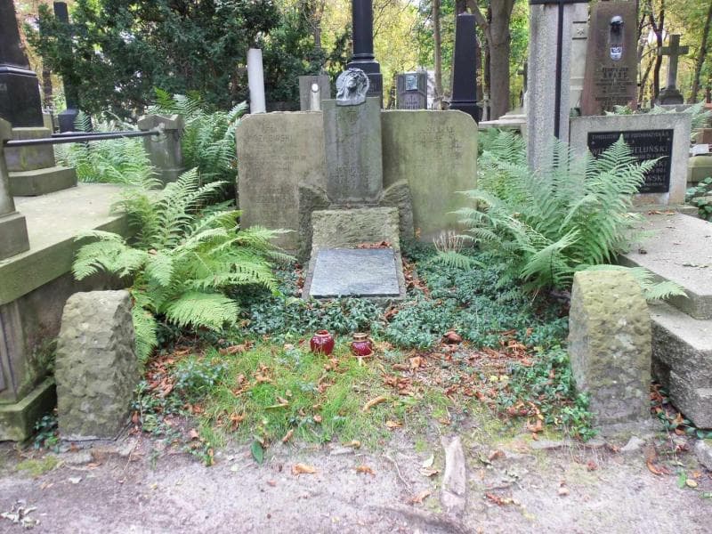 Zdjęcie grobu: Stefan Kozłowski