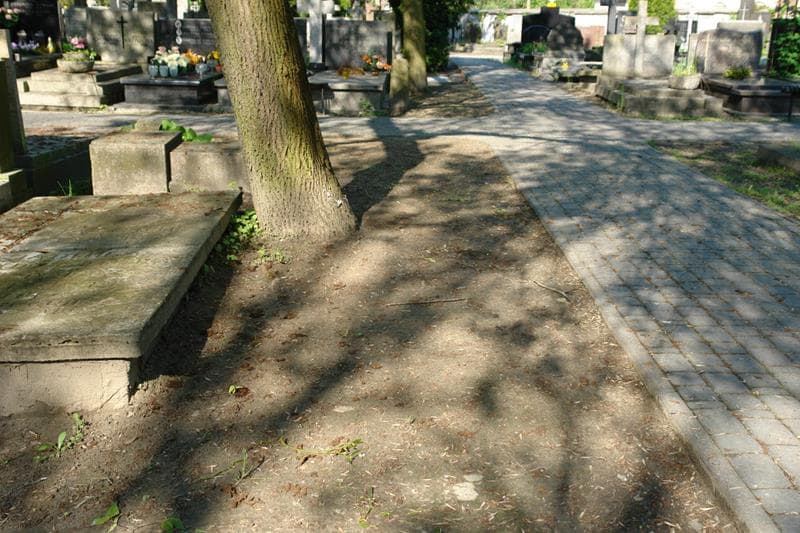 Zdjęcie grobu: Pole Grobowe