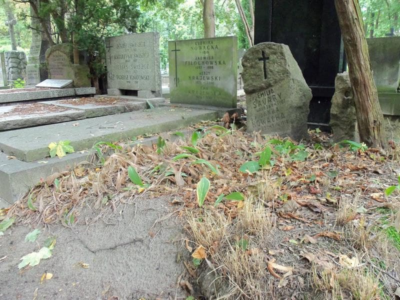 Zdjęcie grobu Janka Nowacka (1)