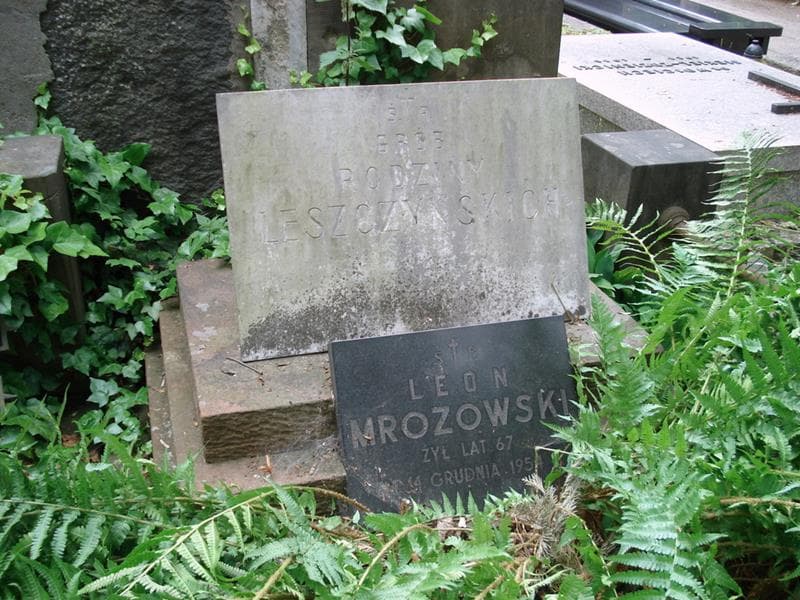 Zdjęcie grobu Leszczyńscy (2)