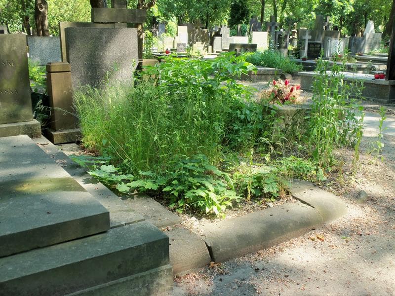 Zdjęcie grobu Józef Dzienniak (1)