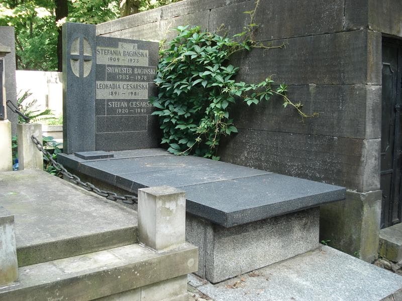 Zdjęcie grobu Sylwester Bagiński (1)