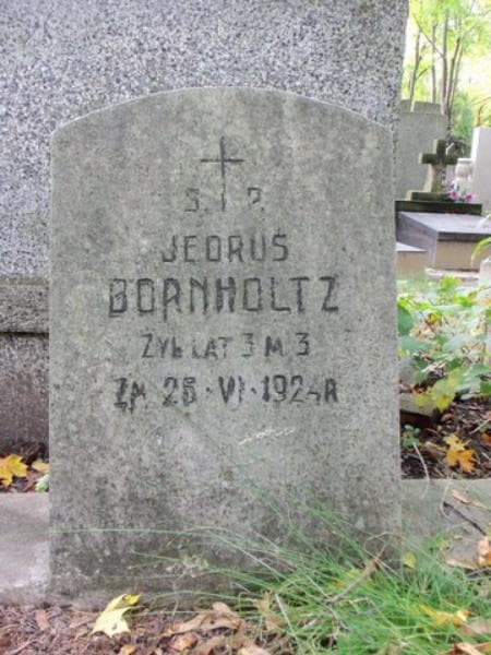 Zdjęcie grobu Jędruś Bornholtz (2)