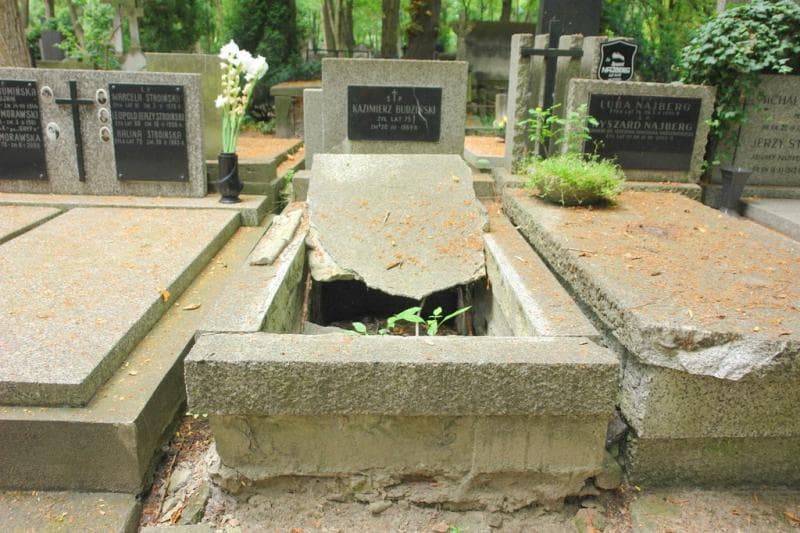 Zdjęcie grobu: Zygmunt Budziński