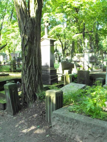 Zdjęcie grobu Adolf Sawicki (1)