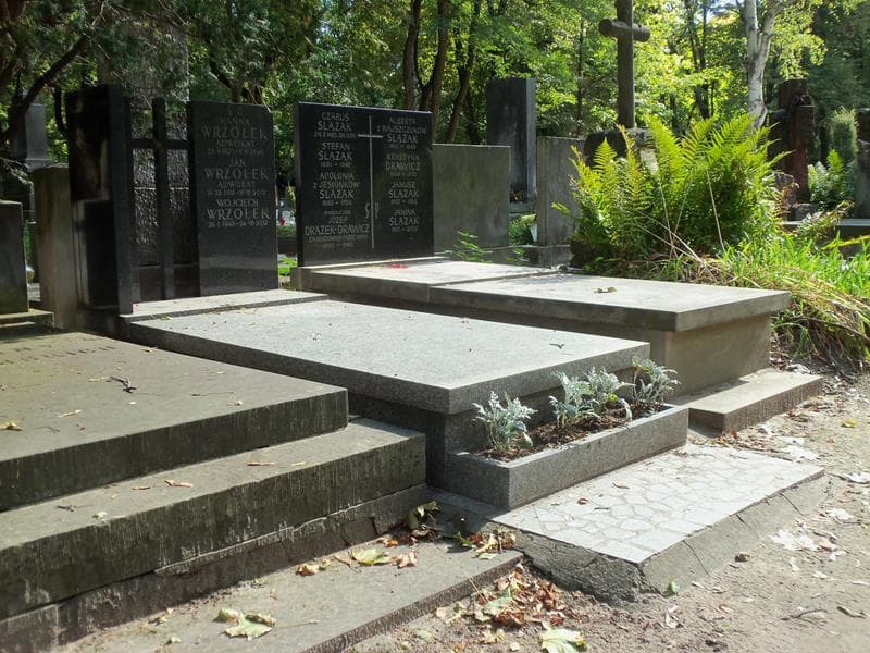 Zdjęcie grobu Jan Wrzołek (1)