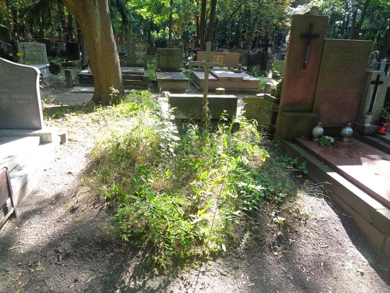 Zdjęcie grobu Pole Grobowe (1)