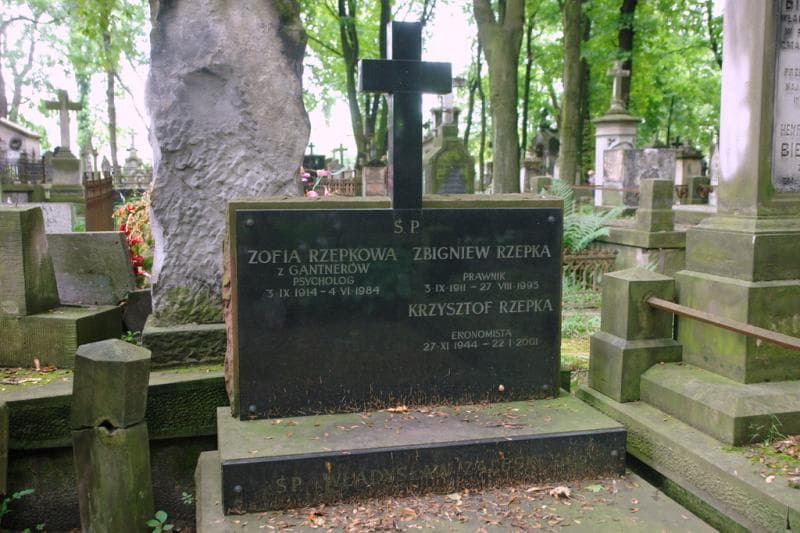 Zdjęcie grobu Zofia Rzepkowa (2)