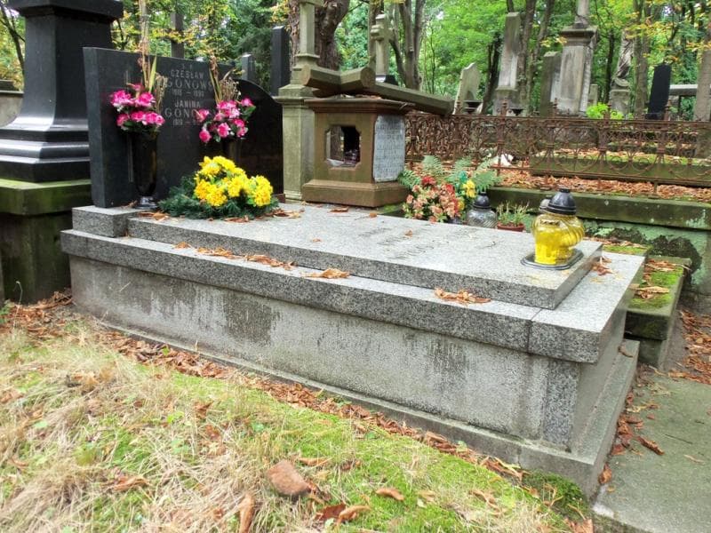 Zdjęcie grobu Czesław Wygonowski (1)