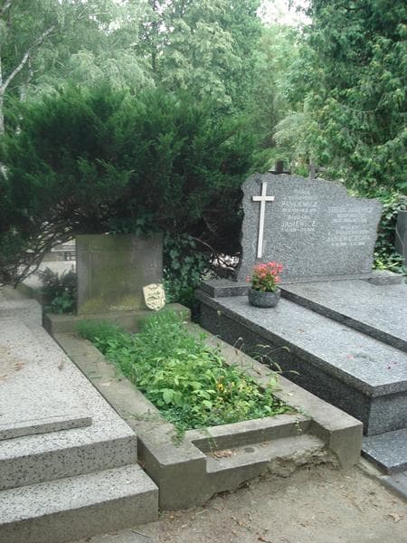 Zdjęcie grobu Zofia Krzymuska (1)