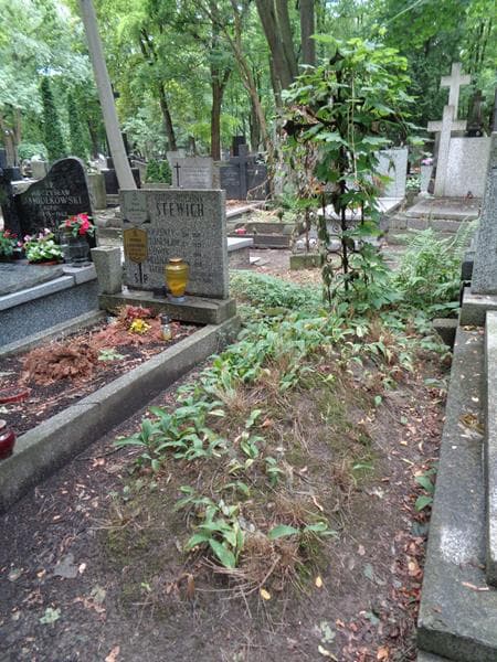 Zdjęcie grobu: Anonim
