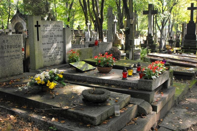 Zdjęcie grobu Alojzy Jan Oliński (1)