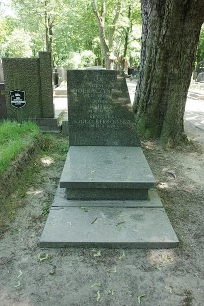 Zdjęcie grobu Władysława Dobraczyńska (1)