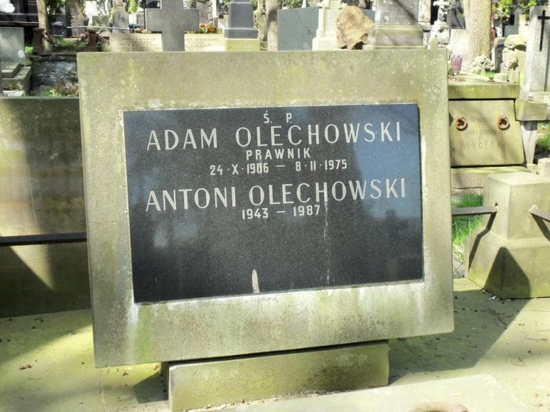 Zdjęcie grobu Adam Olechowski (2)