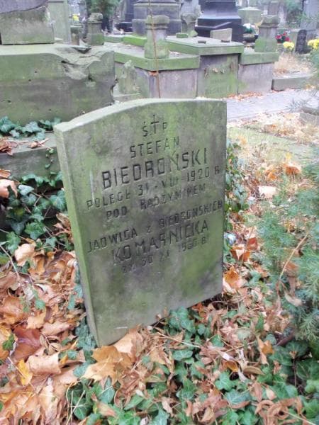 Zdjęcie grobu Stefan Biedroński (1)