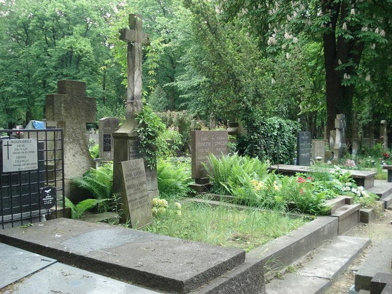 Zdjęcie grobu Józef Celemęcki (1)