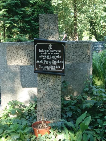 Zdjęcie grobu Ludwik Bąkowski (1)