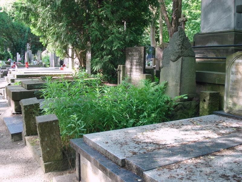 Zdjęcie grobu: Henryk Dromlewicz