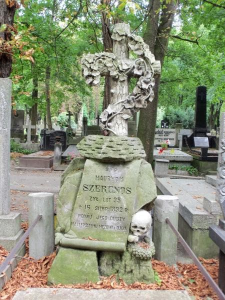 Zdjęcie grobu Maurycy Szeronos (2)