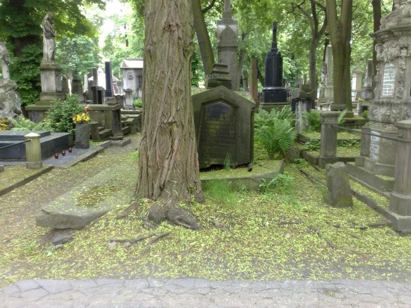 Zdjęcie grobu: Emma Gościcka